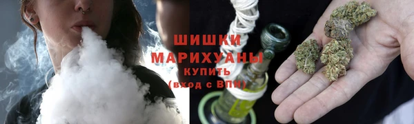 прущие грибы Алзамай