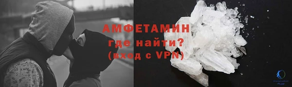 прущие грибы Алзамай